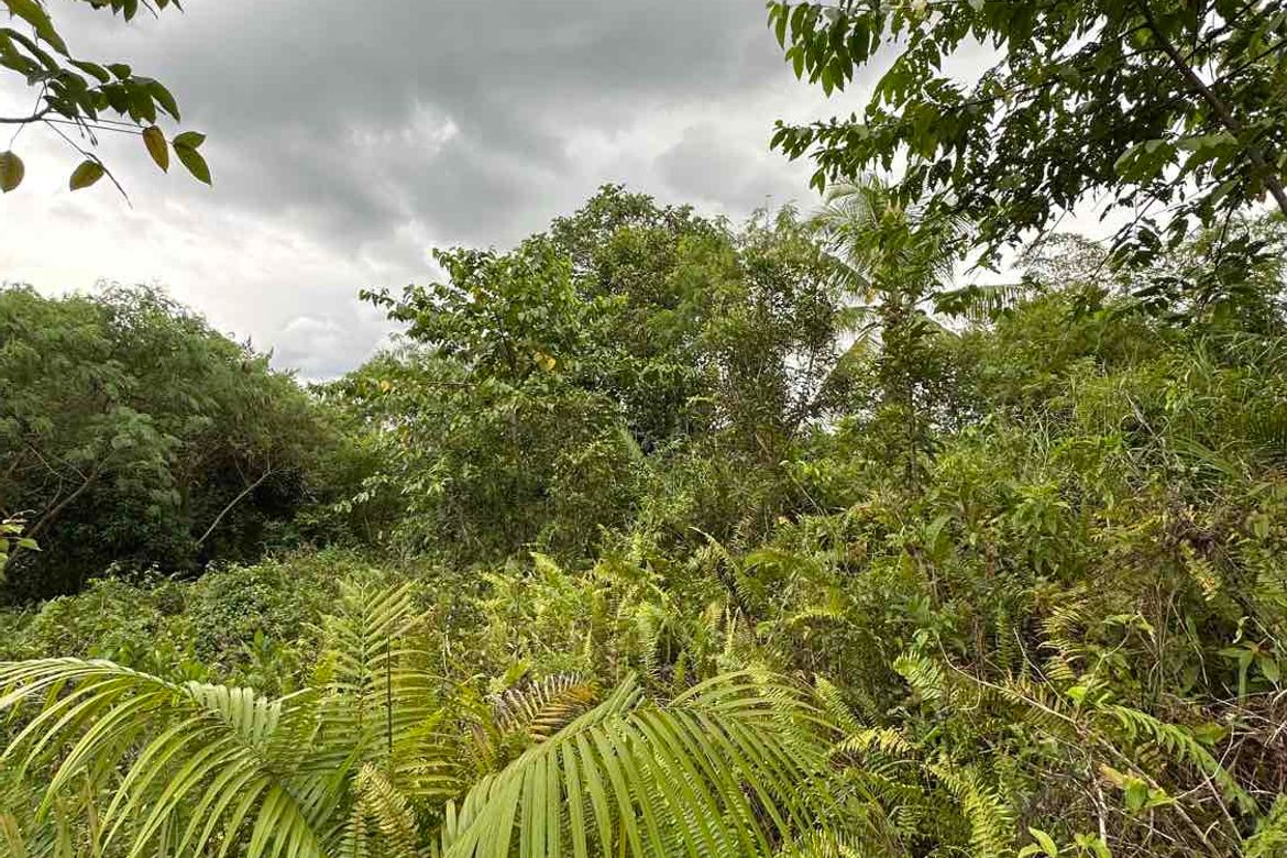Land for Sale in Tinibgan, Maribojoc, Bohol – photo 7