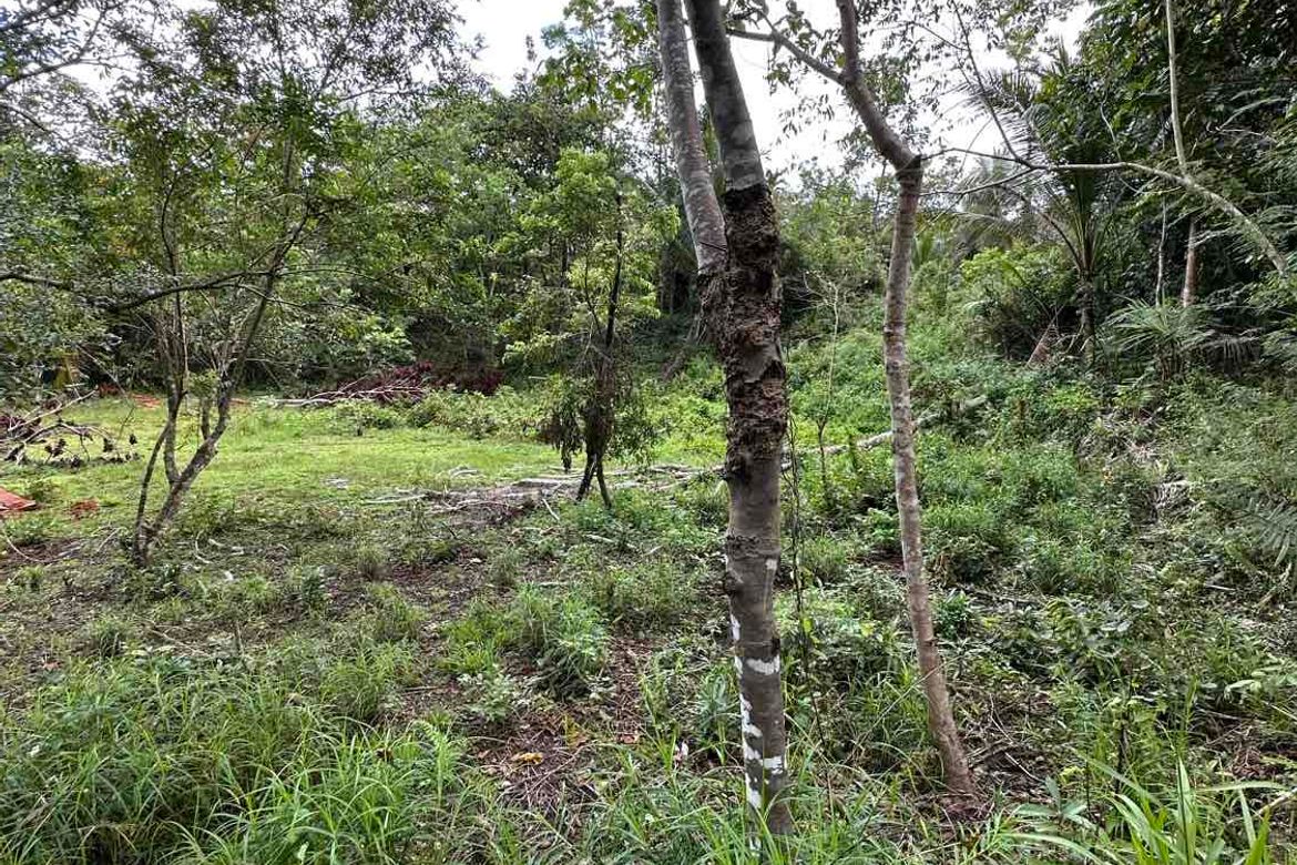 Land for Sale in Tinibgan, Maribojoc, Bohol – photo 8