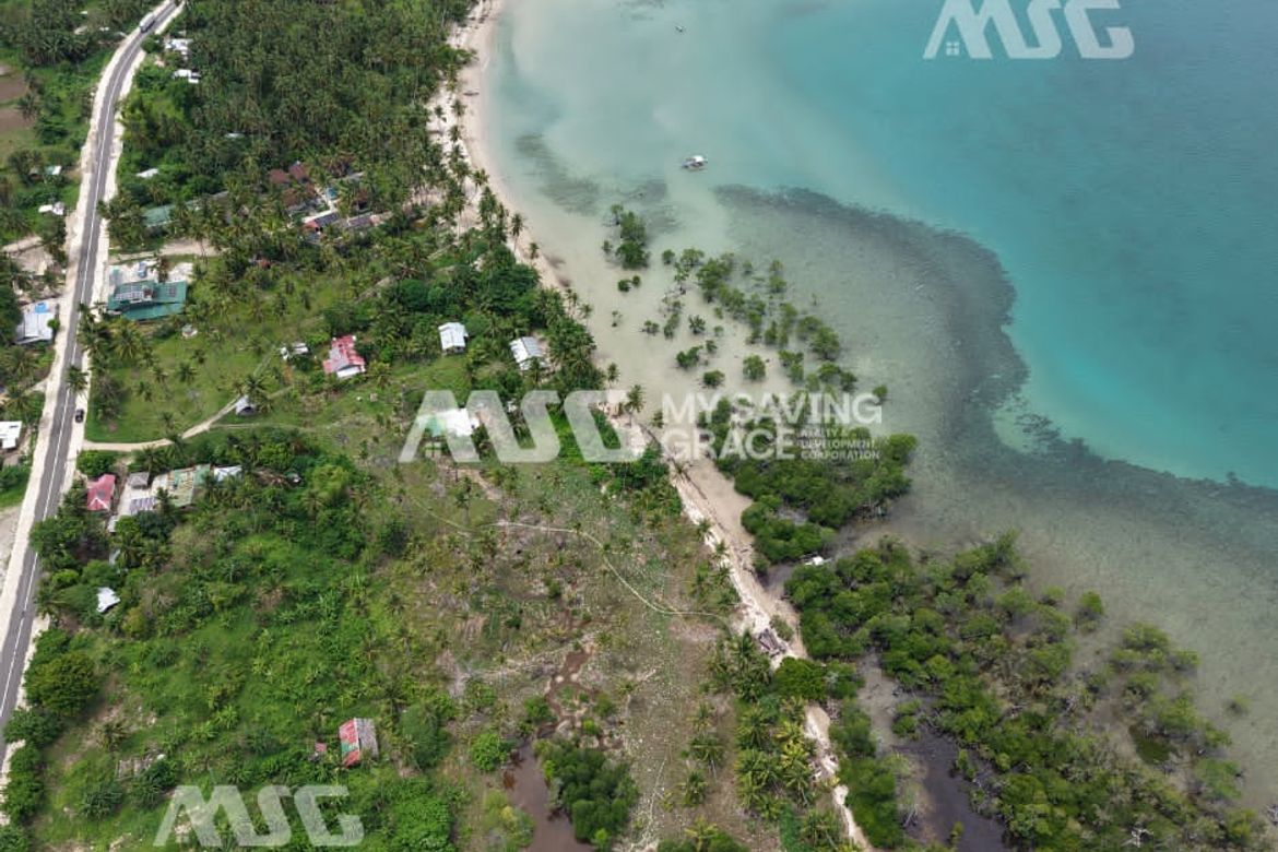Land for Sale in Tinitian, Roxas, Palawan – photo 4