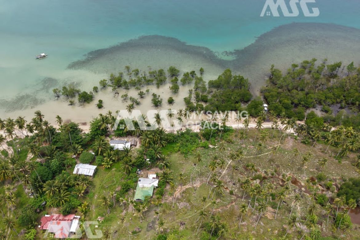 Land for Sale in Tinitian, Roxas, Palawan – photo 5