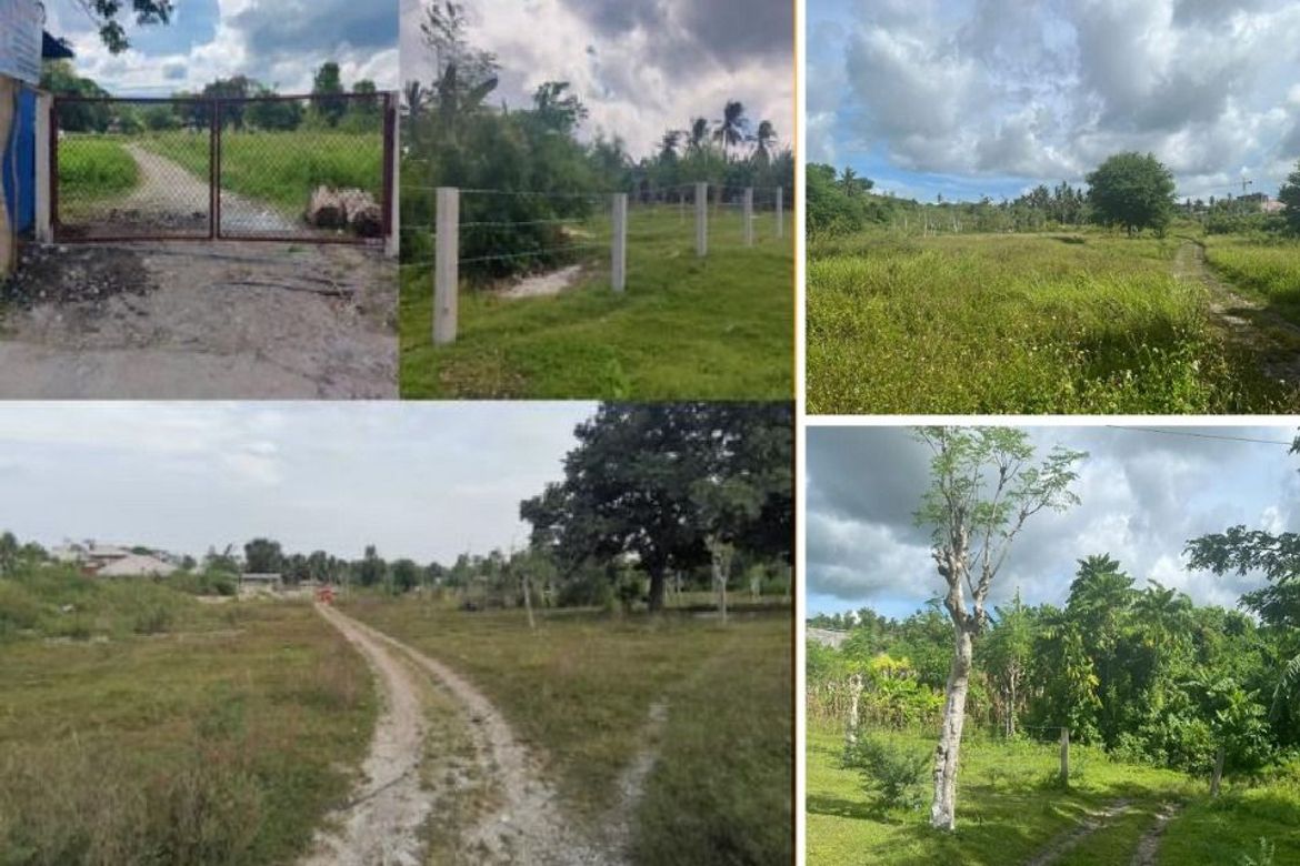 Land for Sale in Tinubdan, San Fernando, Cebu – photo 2