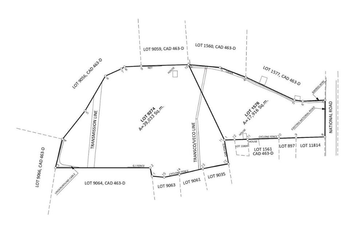 Land for Sale in Tinubdan, San Fernando, Cebu – photo 3