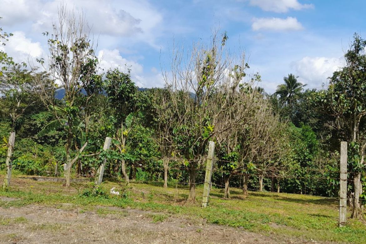 Land for Sale in Tipacan, Lipa, Batangas – photo 5