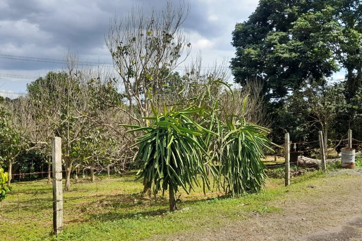 Land for Sale in Tipacan, Lipa, Batangas – photo 6