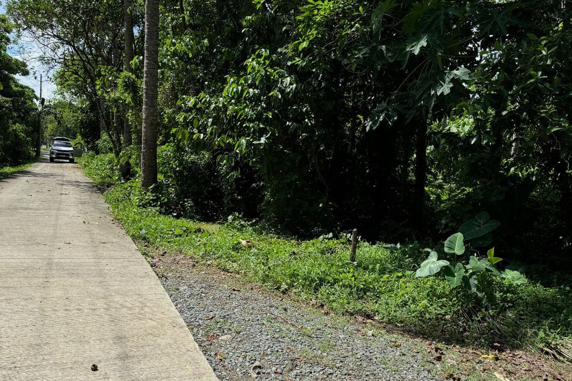 Land for Sale in Tipacan, Lipa, Batangas – photo 3