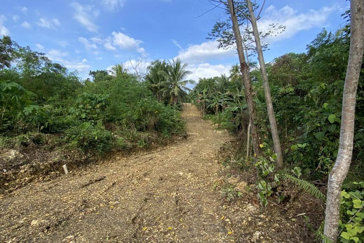 Land for Sale in Tiptip, Tagbilaran, Bohol