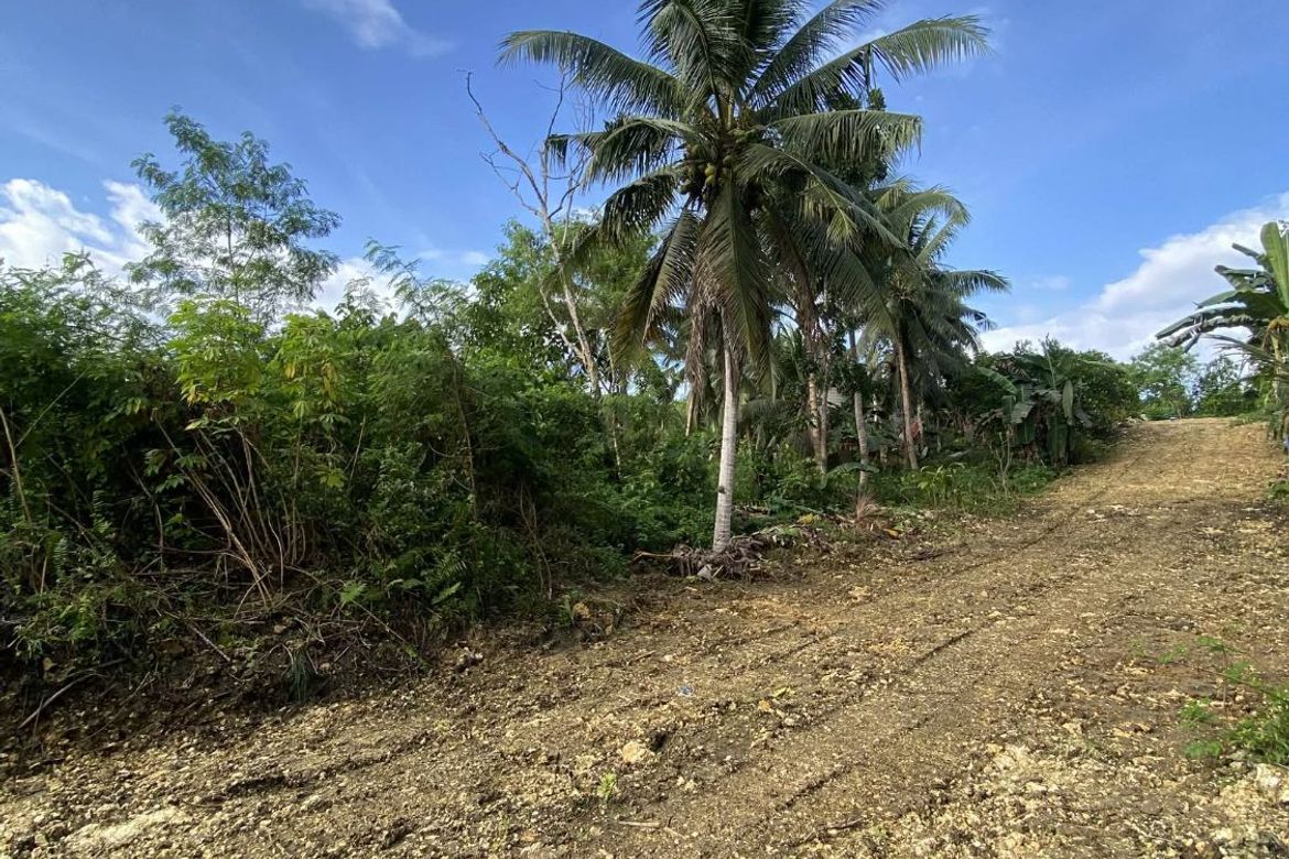 Land for Sale in Tiptip, Tagbilaran, Bohol – photo 2