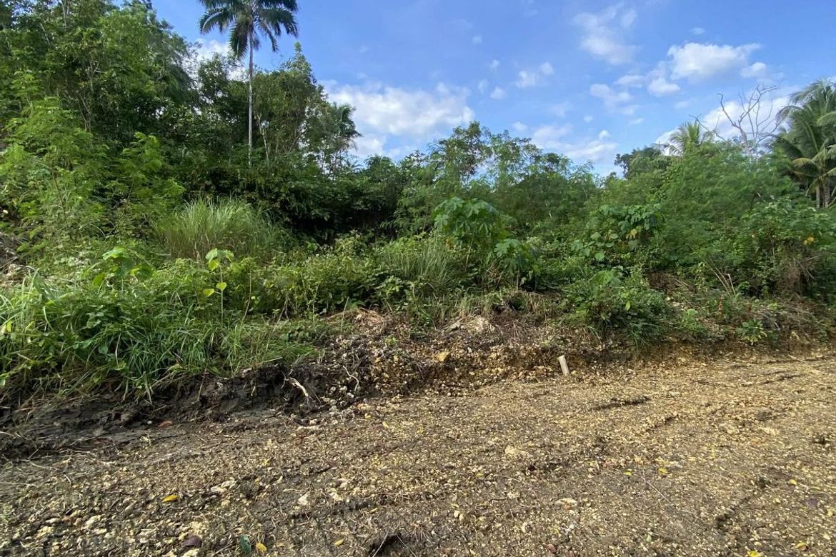 Land for Sale in Tiptip, Tagbilaran, Bohol – photo 3