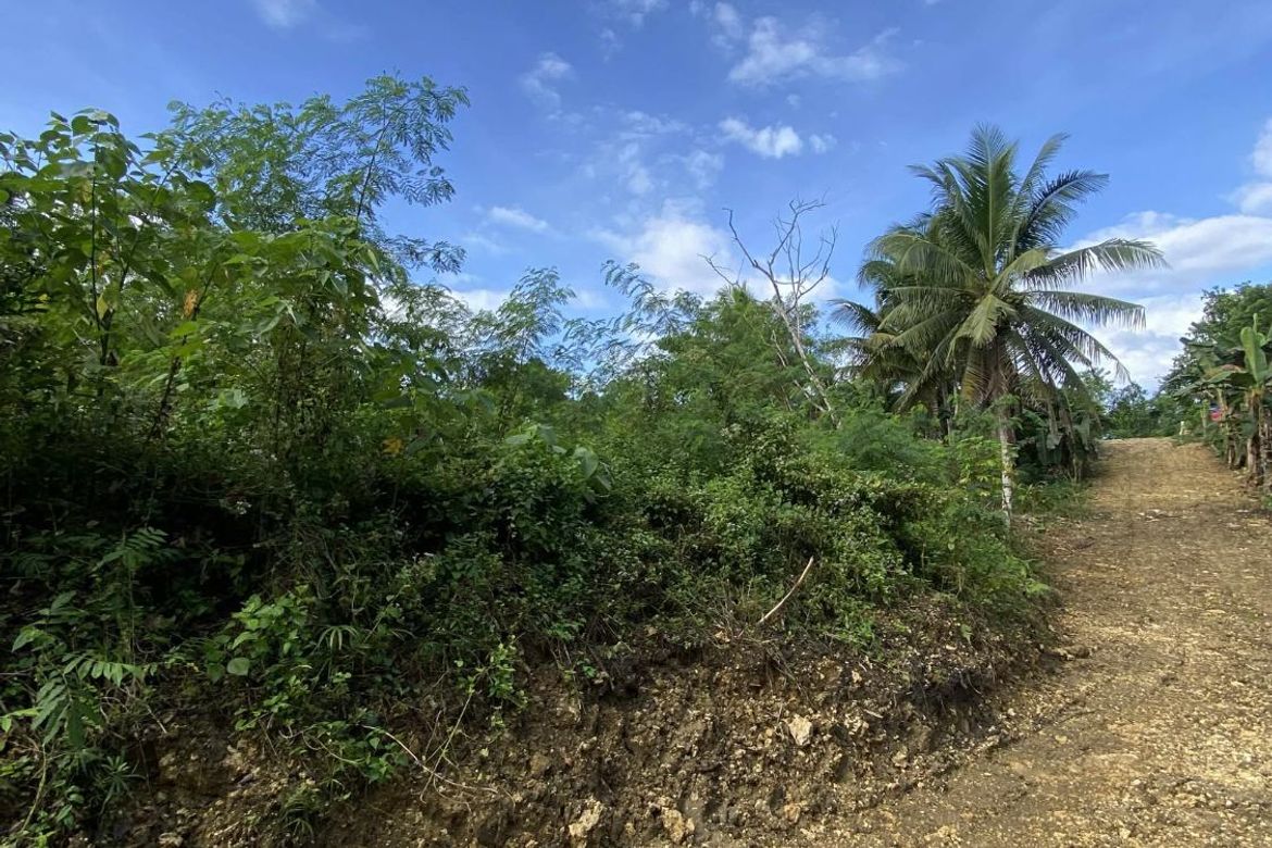 Land for Sale in Tiptip, Tagbilaran, Bohol – photo 6