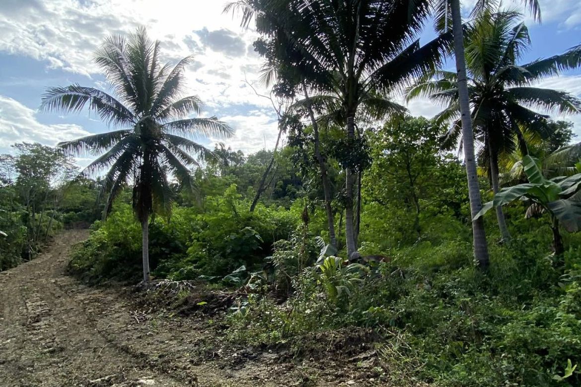 Land for Sale in Tiptip, Tagbilaran, Bohol – photo 8