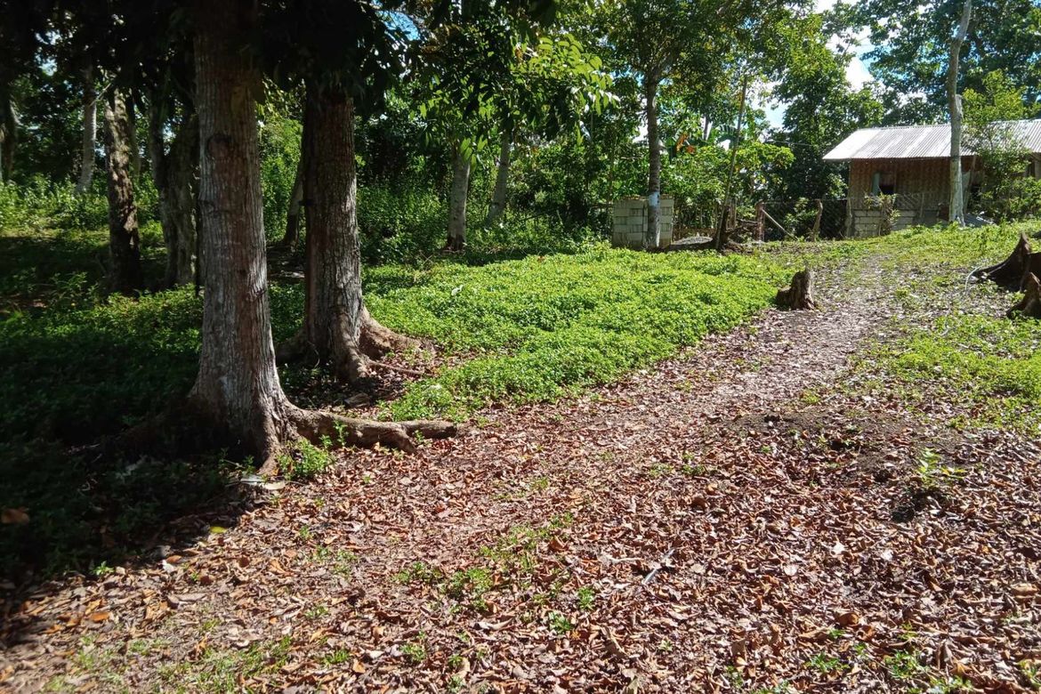 Land for Sale in Tiptip, Tagbilaran, Bohol – photo 4