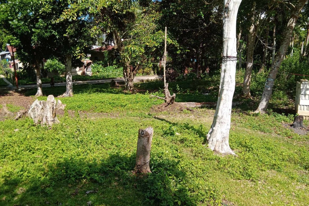 Land for Sale in Tiptip, Tagbilaran, Bohol – photo 5