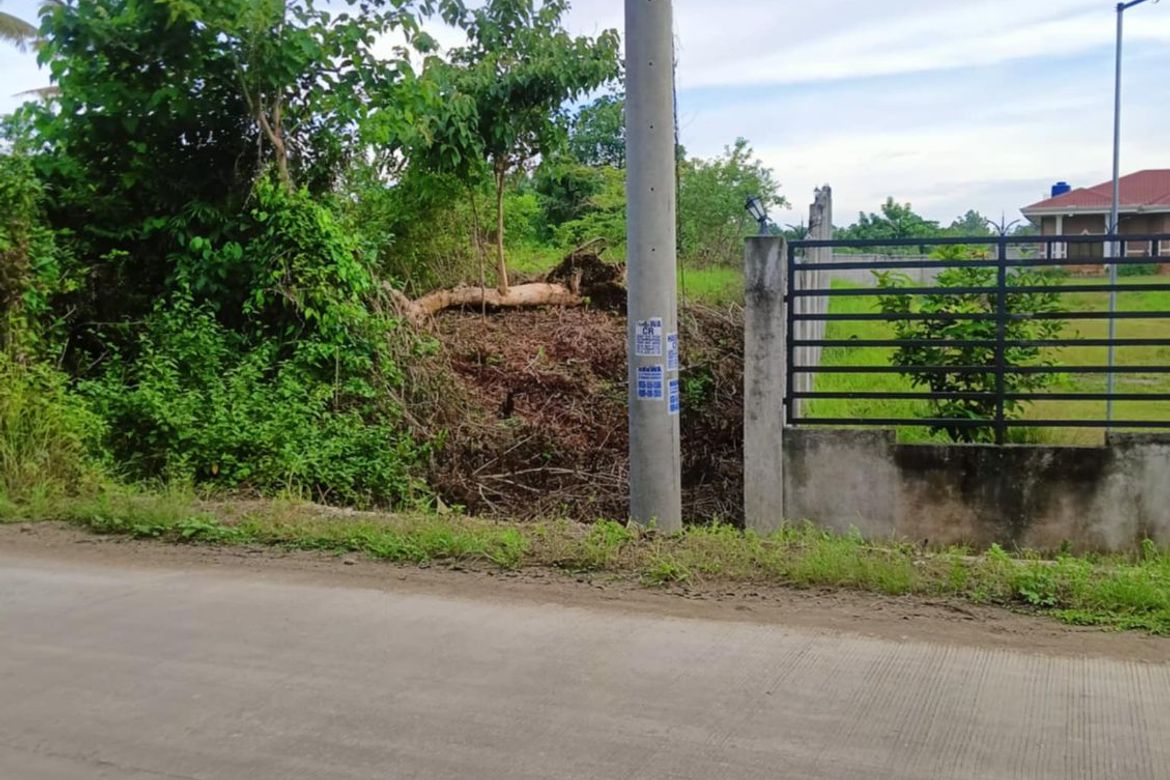 Land for Sale in Tiptip, Tagbilaran, Bohol