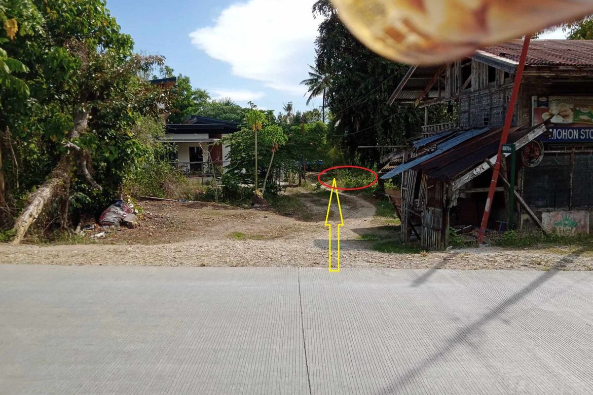 Land for Sale in Tiptip, Tagbilaran, Bohol