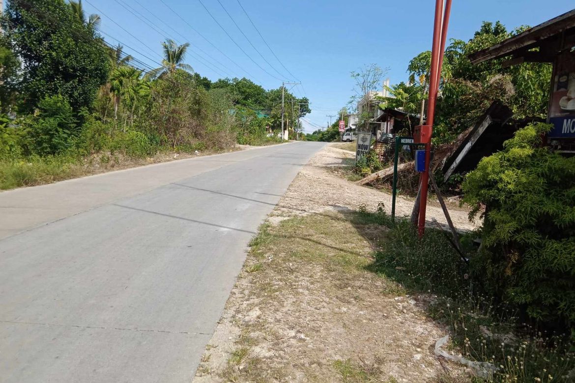 Land for Sale in Tiptip, Tagbilaran, Bohol – photo 2