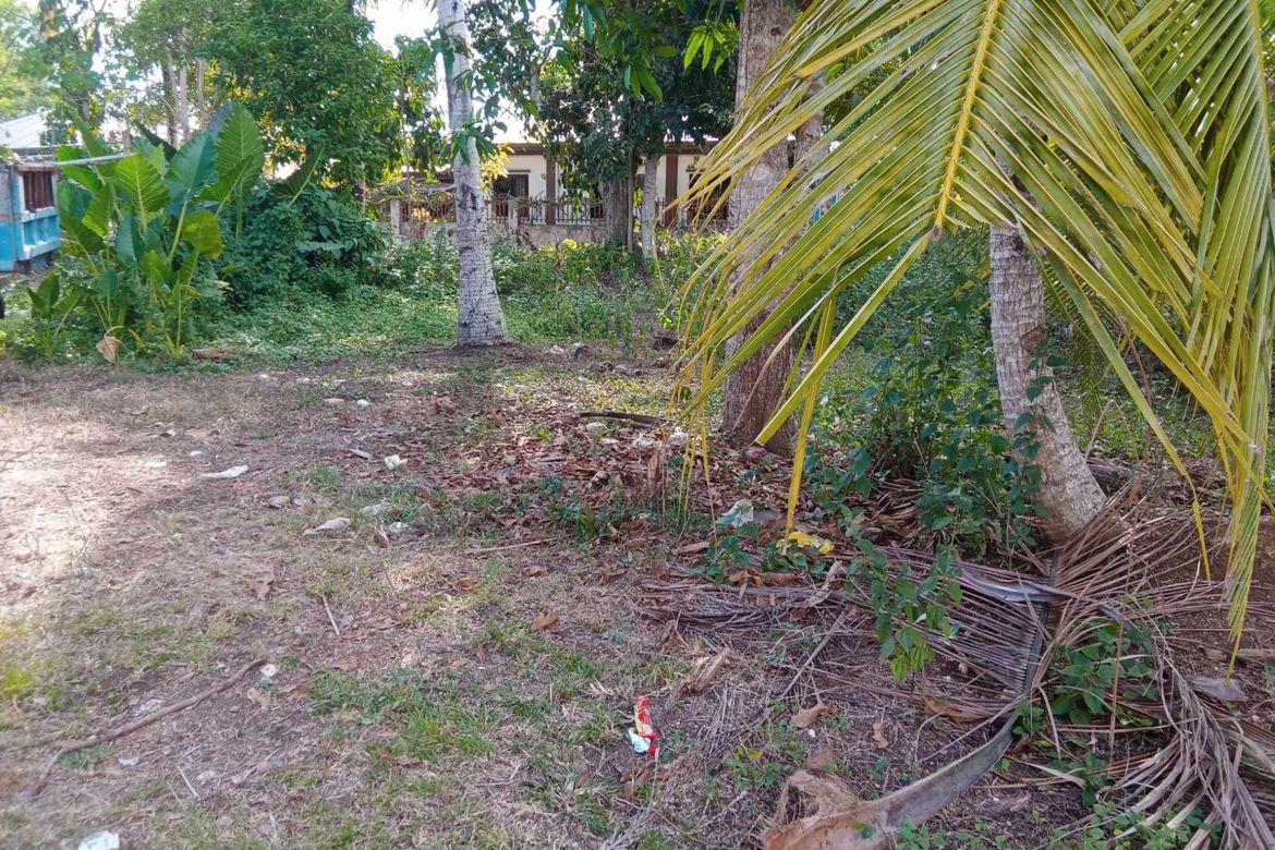 Land for Sale in Tiptip, Tagbilaran, Bohol – photo 3