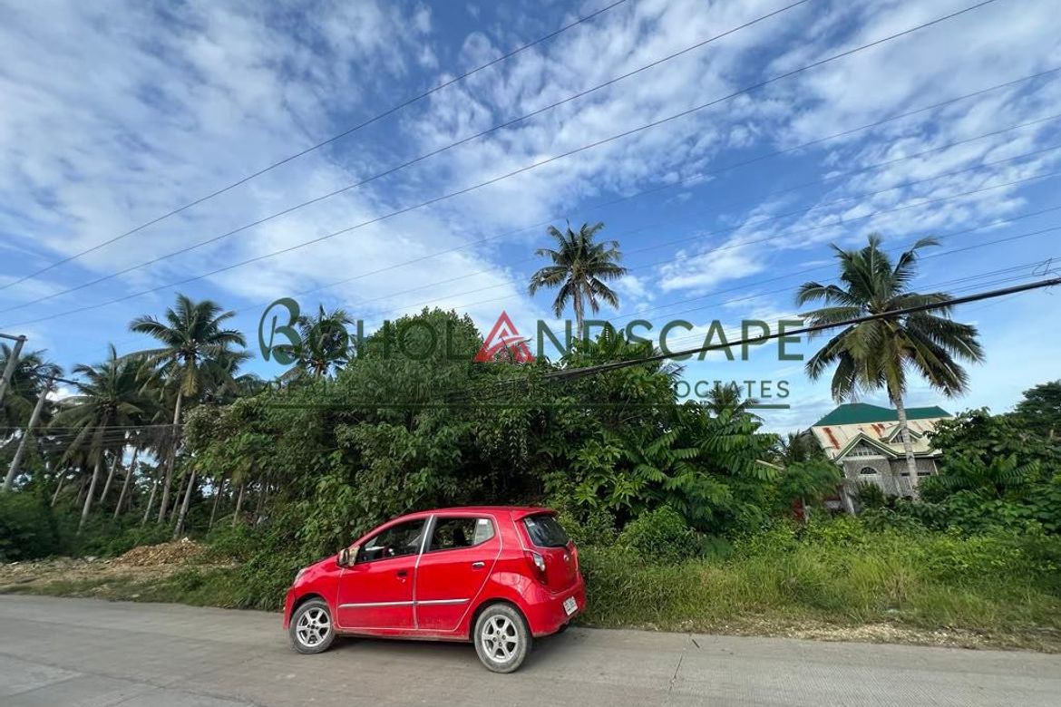 Land for Sale in Tiptip, Tagbilaran, Bohol – photo 5