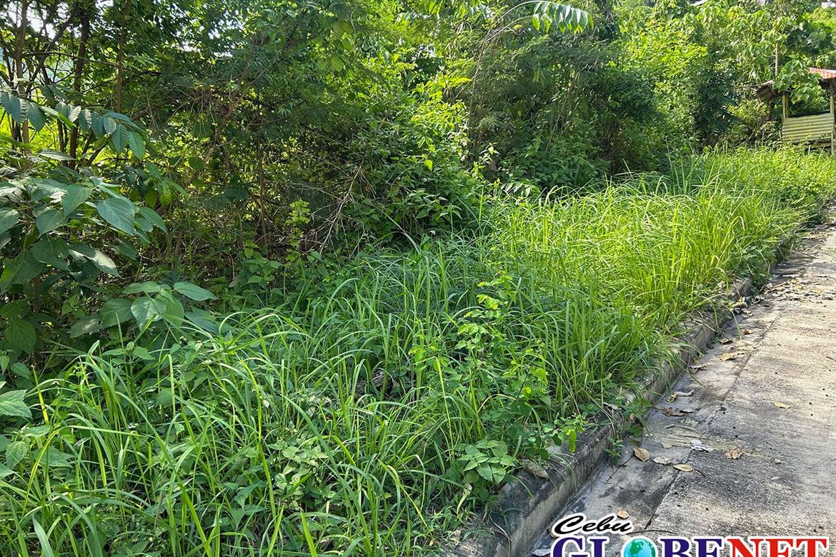 Land for Sale in Tisa, Cebu City, Cebu