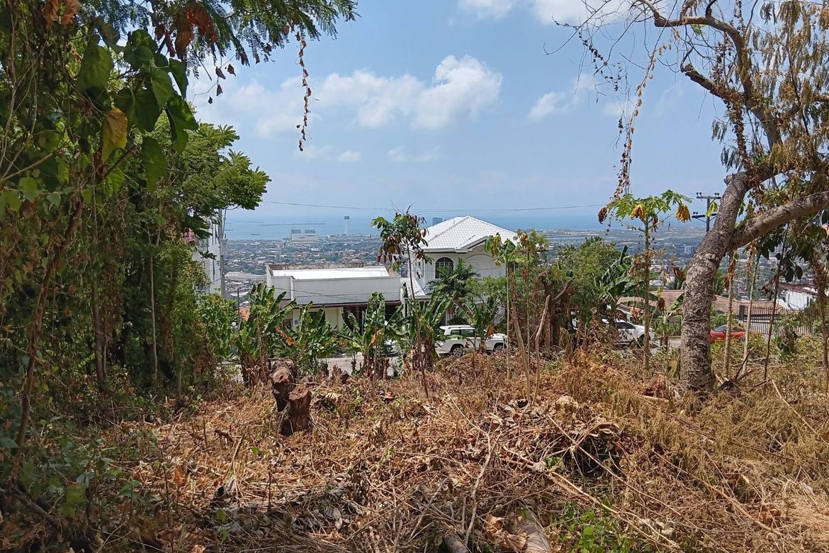 Land for Sale in Tisa, Cebu City, Cebu – photo 3