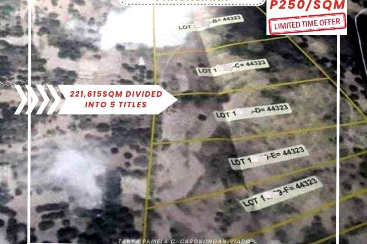 Land for Sale in Tobor, Malasiqui, Pangasinan – photo 3