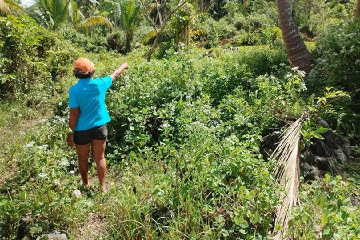 Land for Sale in Togonon, Danao, Cebu