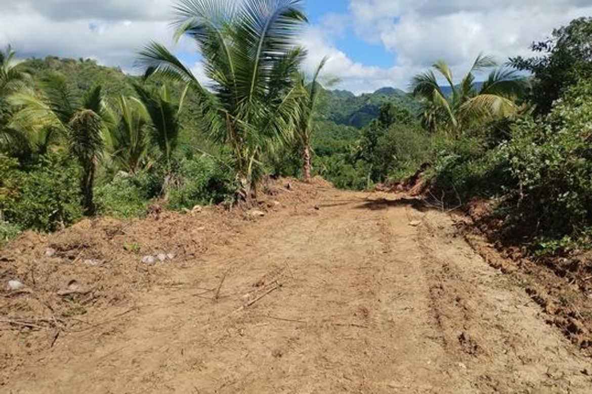 Land for Sale in Togonon, Danao, Cebu – photo 3