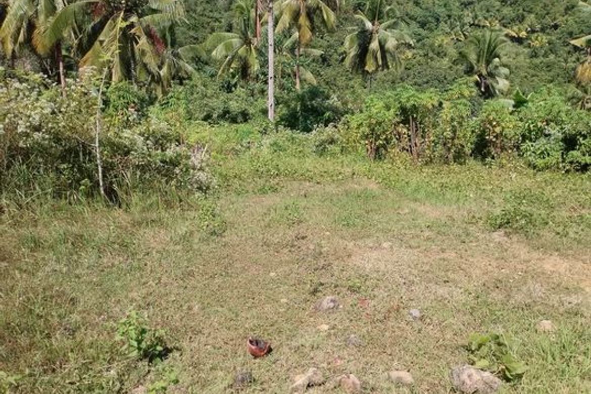 Land for Sale in Togonon, Danao, Cebu – photo 7