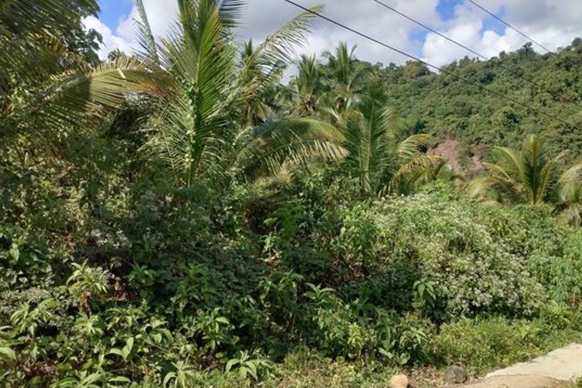 Land for Sale in Togonon, Danao, Cebu – photo 8