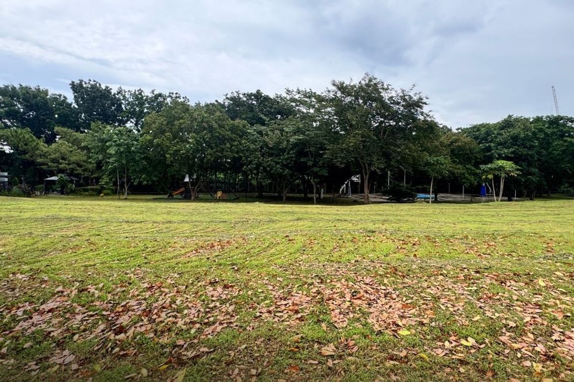 Land for Sale in Tokyo Mansions, Inchican, Silang, Cavite