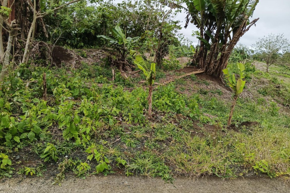 Land for Sale in Toledo, Silang, Cavite – photo 4