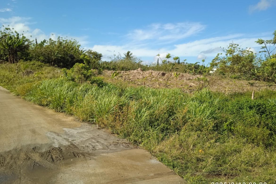 Land for Sale in Toledo, Silang, Cavite – photo 6