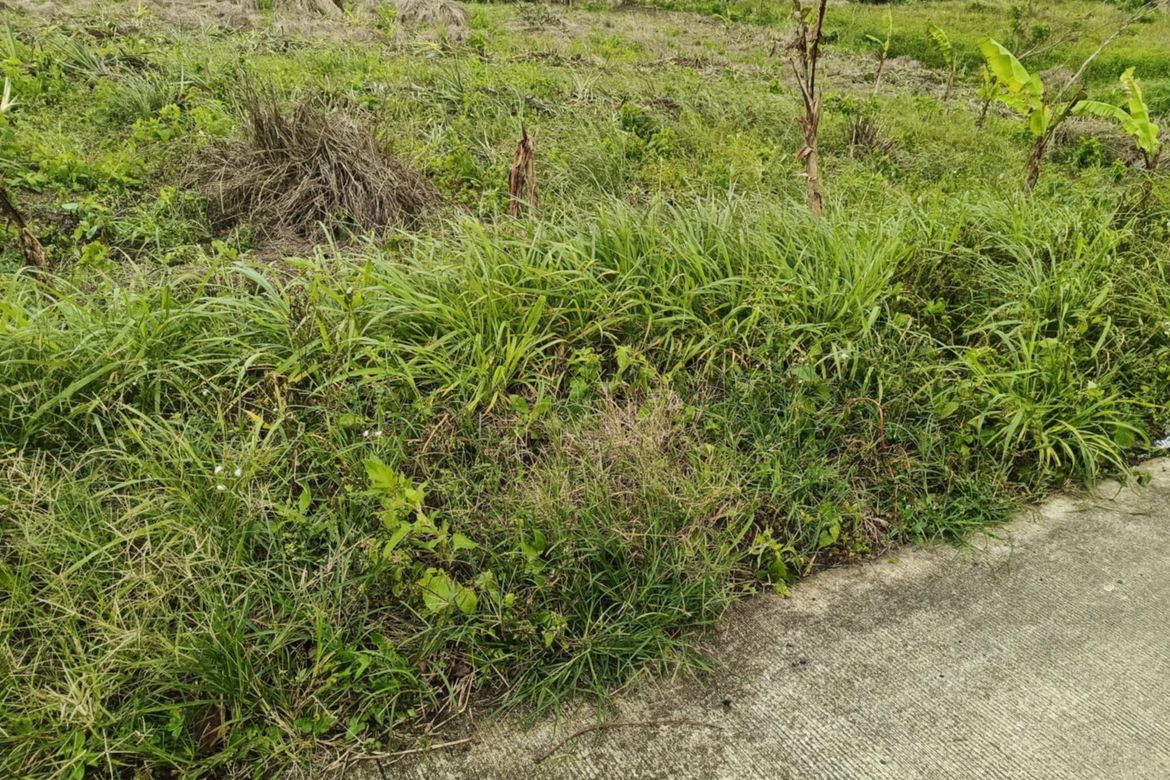 Land for Sale in Toledo, Silang, Cavite – photo 8