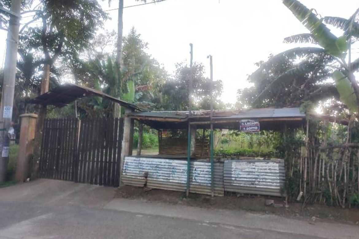 Land for Sale in Toledo, Silang, Cavite – photo 3