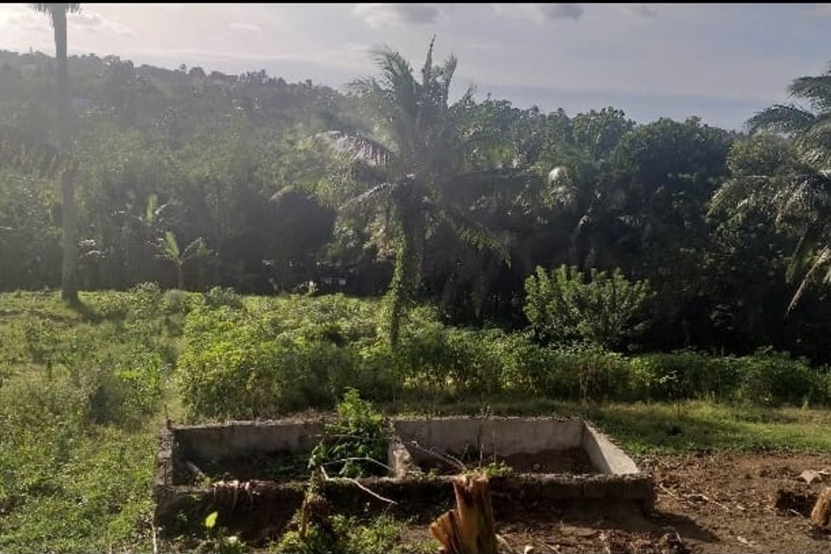 Land for Sale in Toledo, Silang, Cavite – photo 5