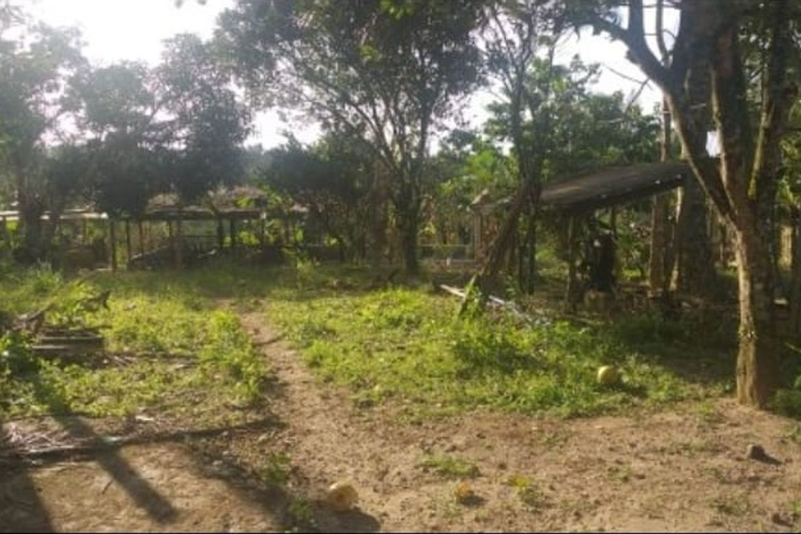 Land for Sale in Toledo, Silang, Cavite – photo 8