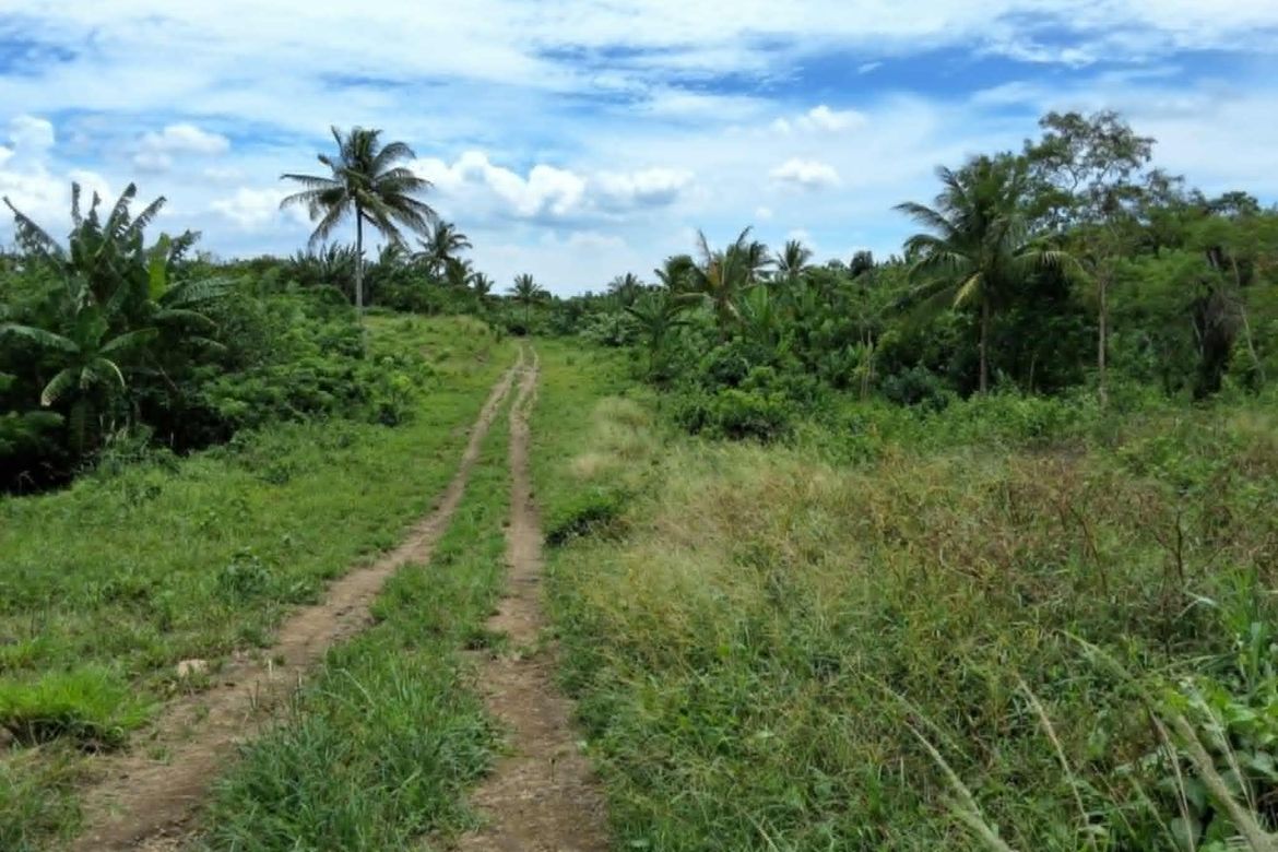 Land for Sale in Toledo, Silang, Cavite – photo 6
