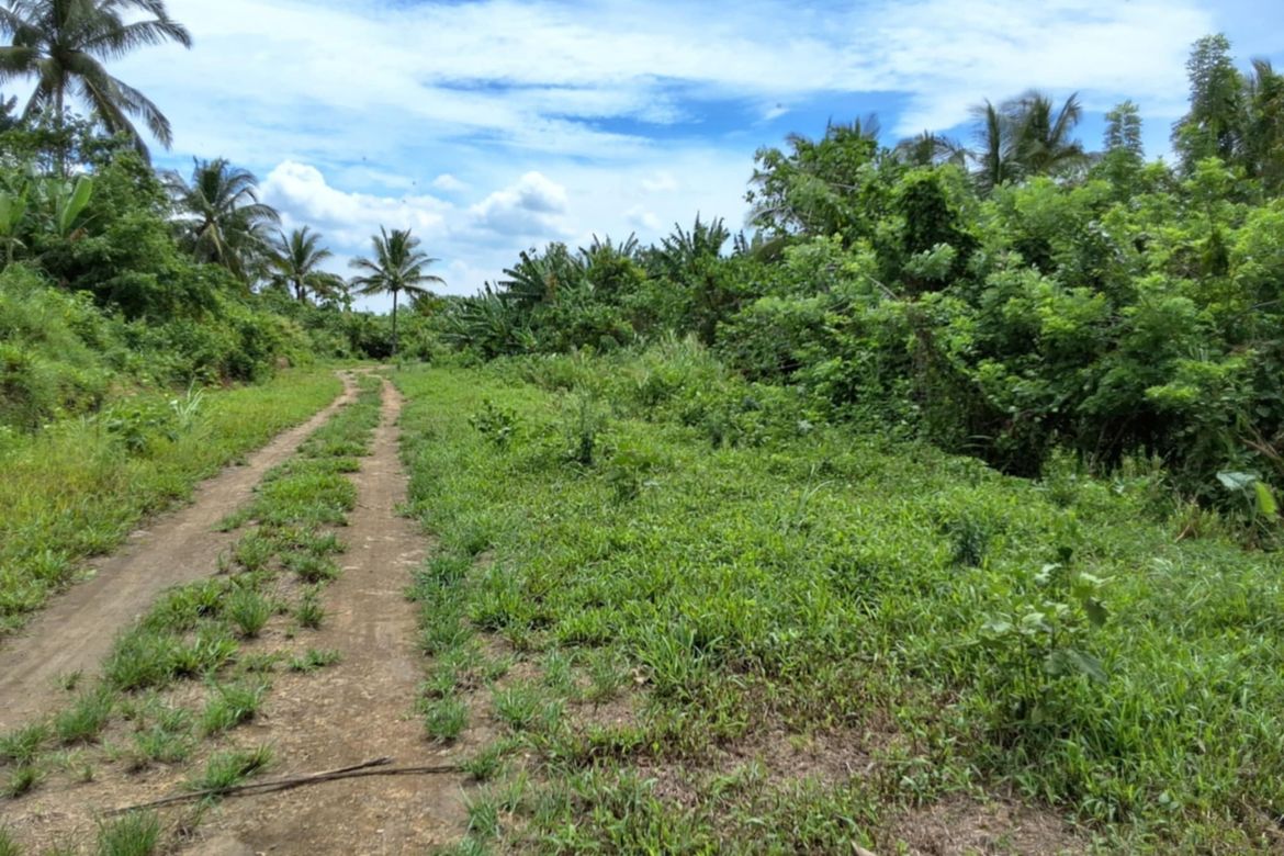 Land for Sale in Toledo, Silang, Cavite – photo 7