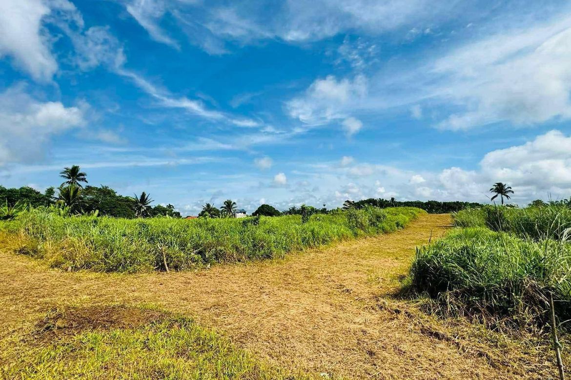 Land for Sale in Toledo, Silang, Cavite – photo 5