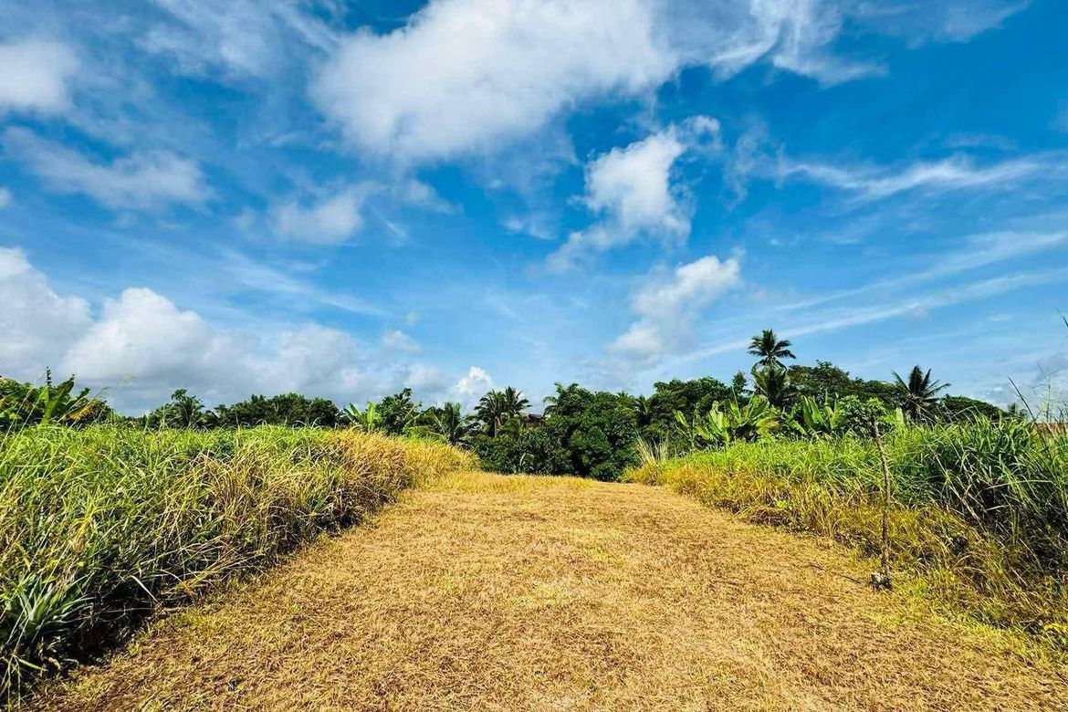 Land for Sale in Toledo, Silang, Cavite – photo 6