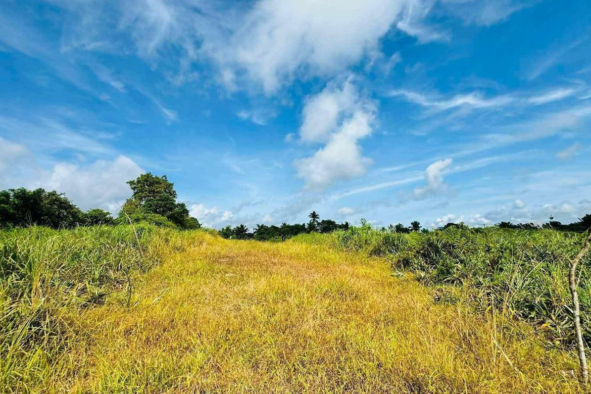 Land for Sale in Toledo, Silang, Cavite – photo 7