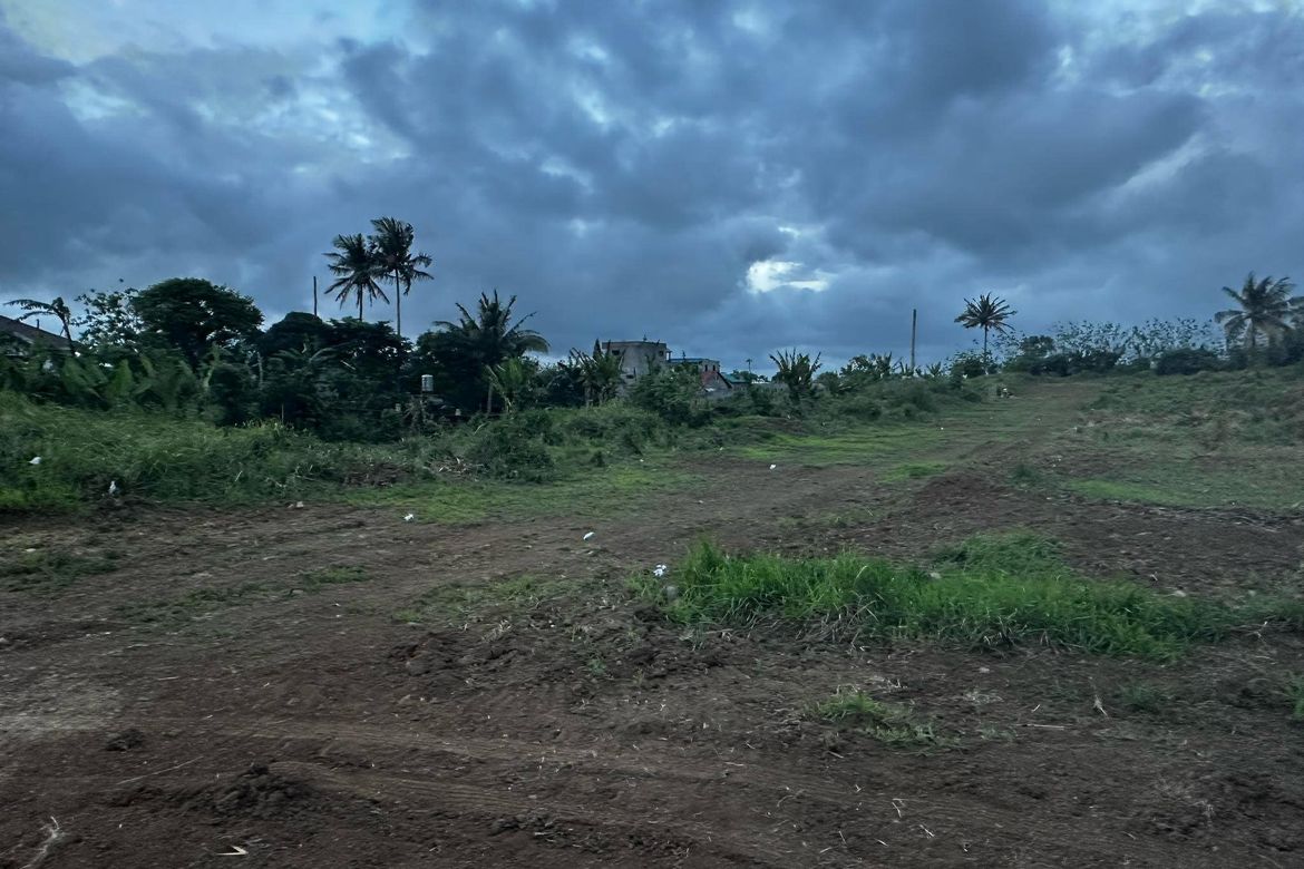Land for Sale in Toledo, Silang, Cavite – photo 8