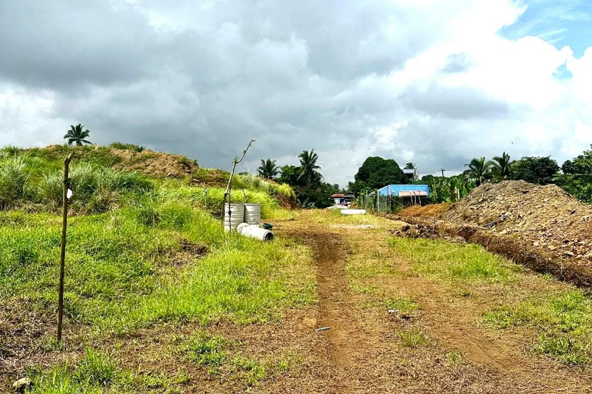 Land for Sale in Toledo, Silang, Cavite – photo 3