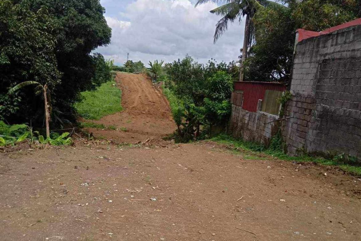 Land for Sale in Toledo, Silang, Cavite – photo 7