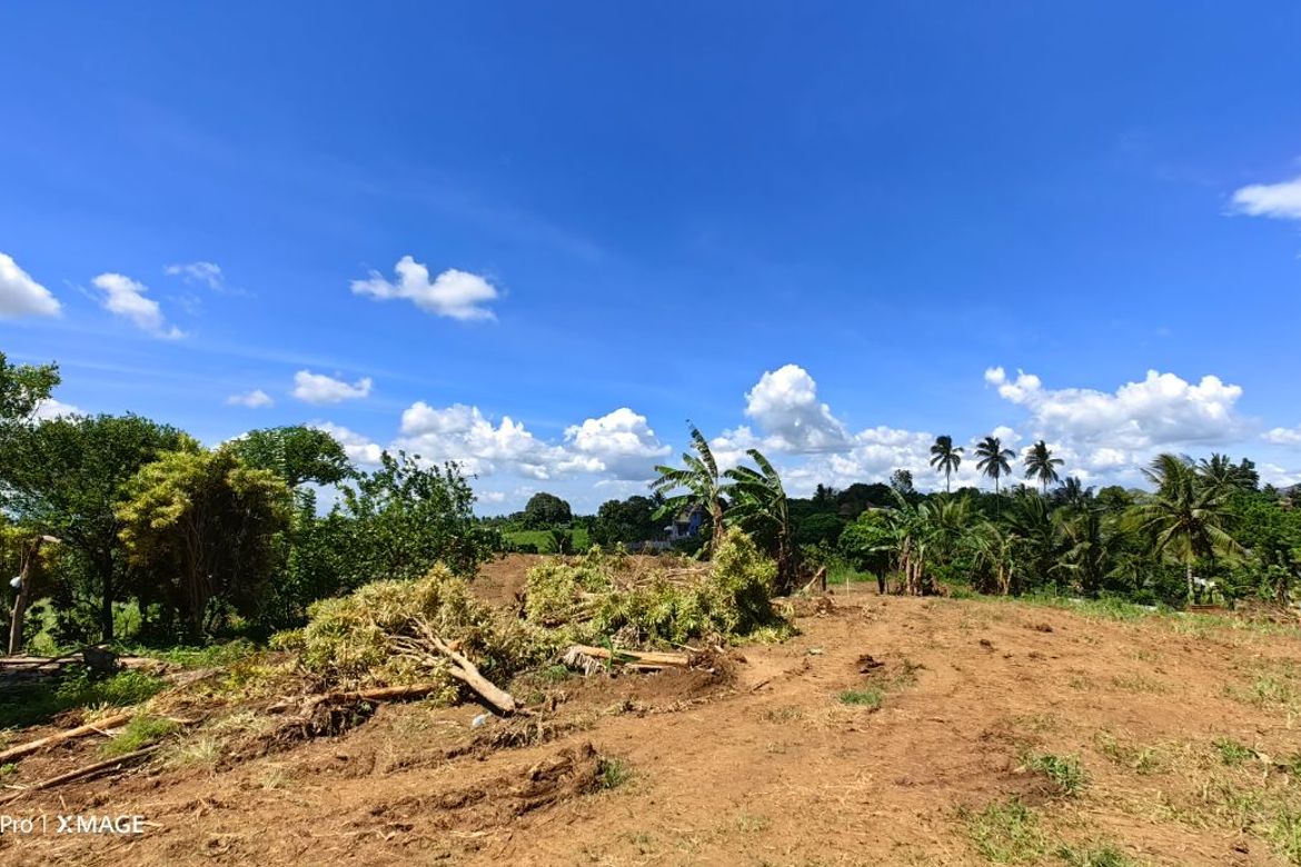 Land for Sale in Toledo, Silang, Cavite – photo 4