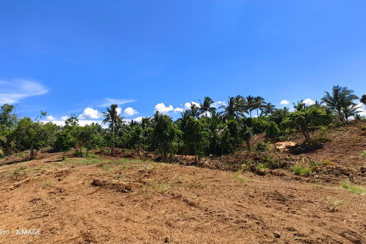 Land for Sale in Toledo, Silang, Cavite – photo 7