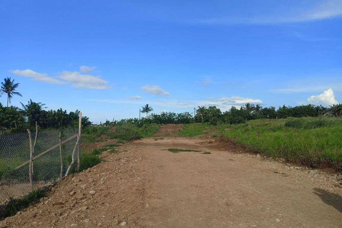 Land for Sale in Toledo, Silang, Cavite – photo 2