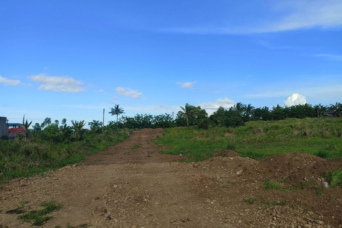 Land for Sale in Toledo, Silang, Cavite – photo 4