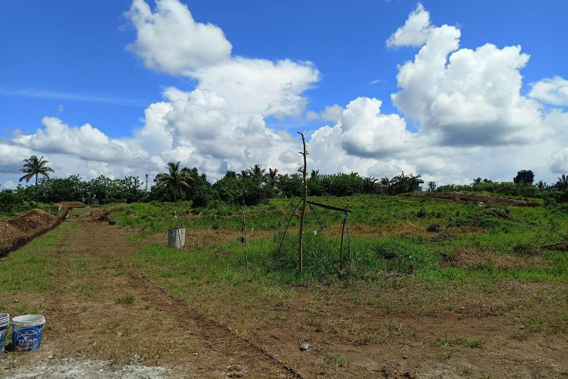 Land for Sale in Toledo, Silang, Cavite – photo 5