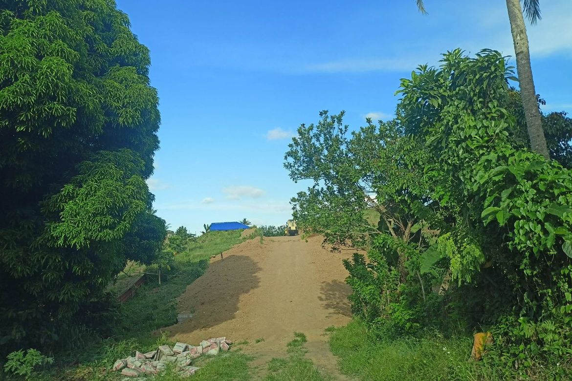 Land for Sale in Toledo, Silang, Cavite – photo 6