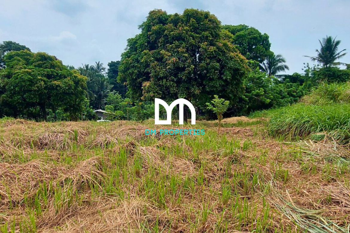 Land for Sale in Tolentino East, Tagaytay, Cavite